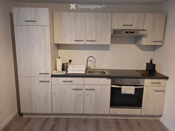 Helle möbelierte 3,5 Zimmer Wohnung befristet zu vermieten 4