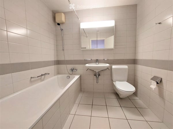 Grosszügige Wohnung mit eigenem Gärtli 4