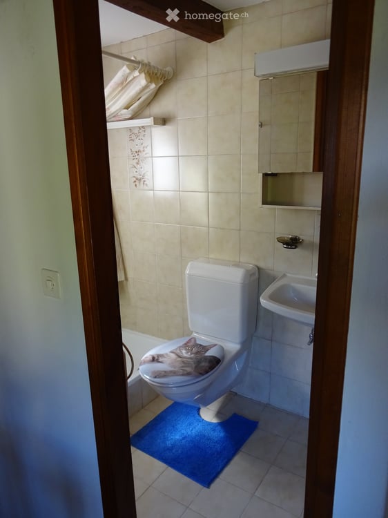 Casetta a Lodano ( Vallemaggia ) 4