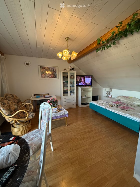 Studio Helle Dachwohnung Inkl. Möbel 5