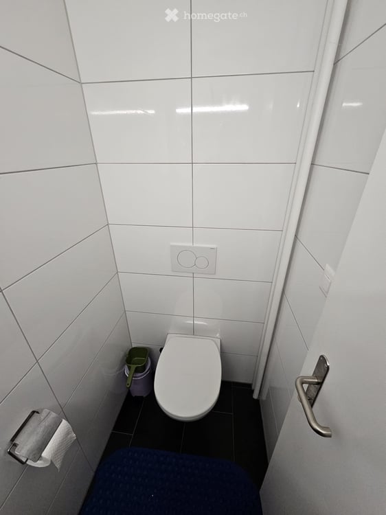 Grosse 4.5 Zimmerwohnung frisch renoviert 3