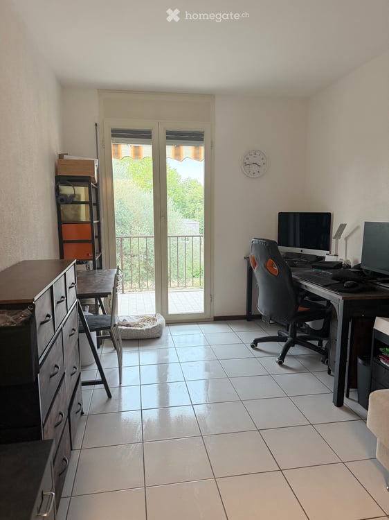 Subentrante per ampio appartamento con giardino privato 4