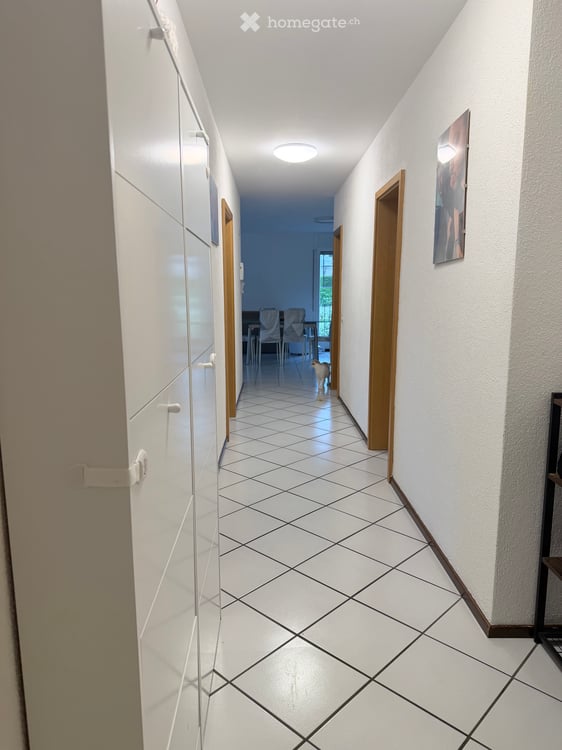Subentrante per ampio appartamento con giardino privato 6