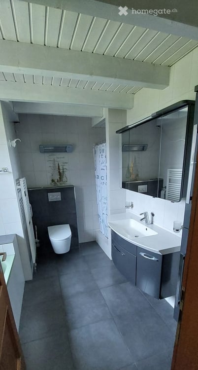 Sehr grosse Dachwohnung, Hausteil zu vermieten 3
