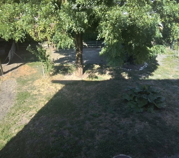 Altes Haus sucht neuen Mieter 5