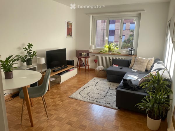 3 room Apartment to rent from October or November 2026 1