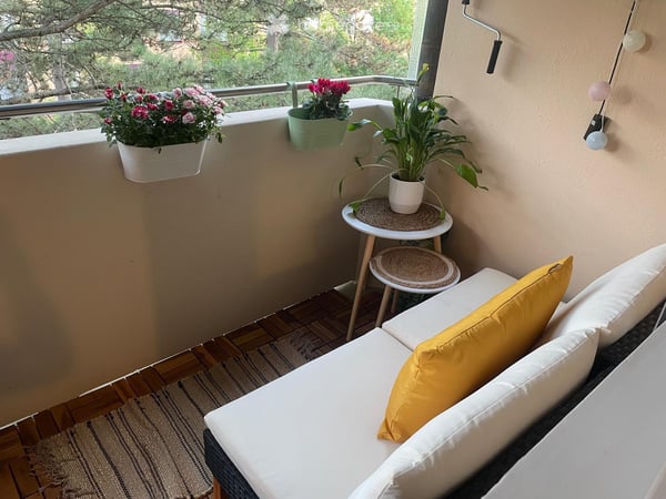 3 room Apartment to rent from October or November 2026 5