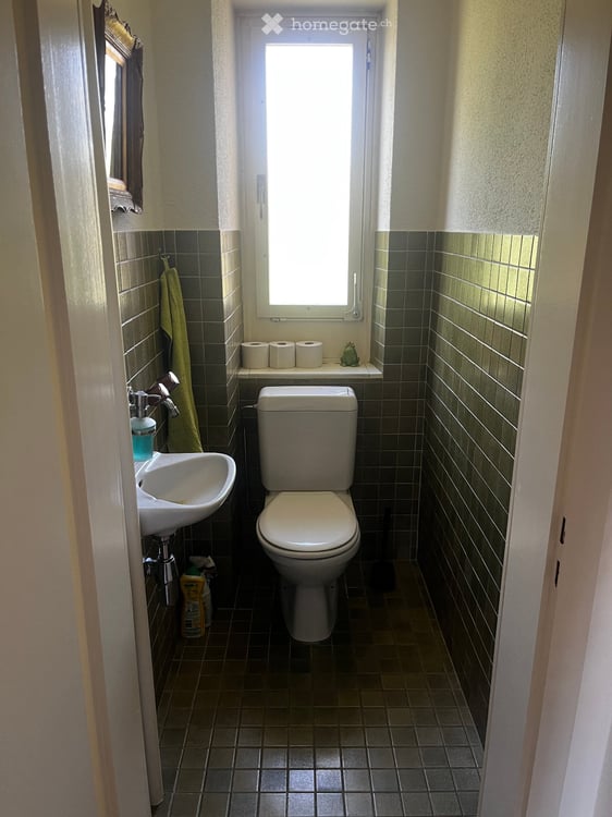 2-room apartment with living room and balcony in Winterthur 5