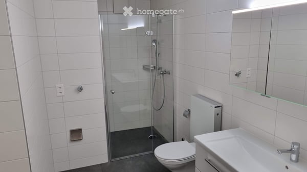 Grosse 4.5-Zimmer-Wohnung (1. OG) 3