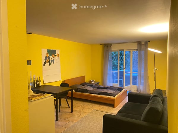 Furnished Apartment in Zurich-Seefeld 2