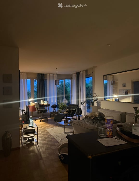Appartamento con giardino e vista lago 1