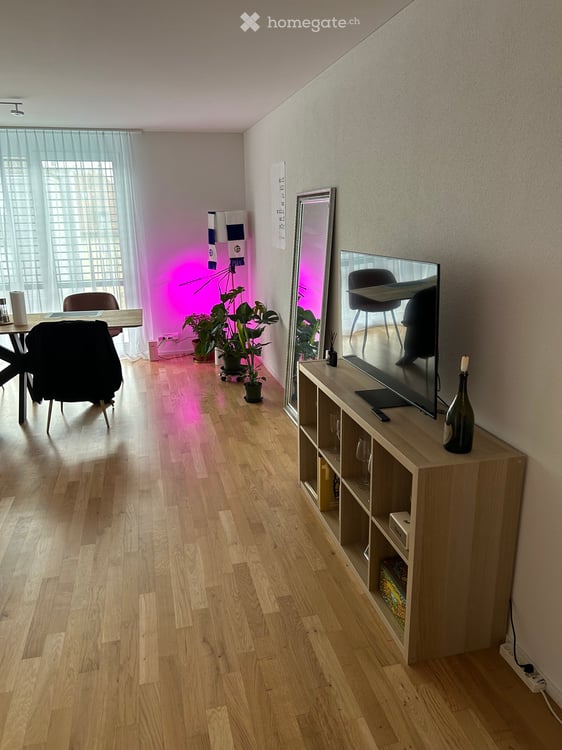 Moderne 2.5 Zi-Whg in Zürich 1