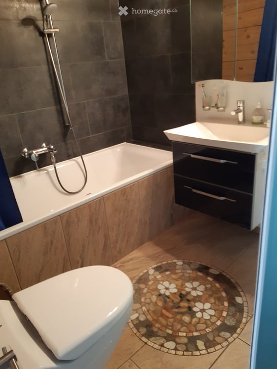 2 1/2 Zimmer-Wohnung mit traumhafter Aussicht 3
