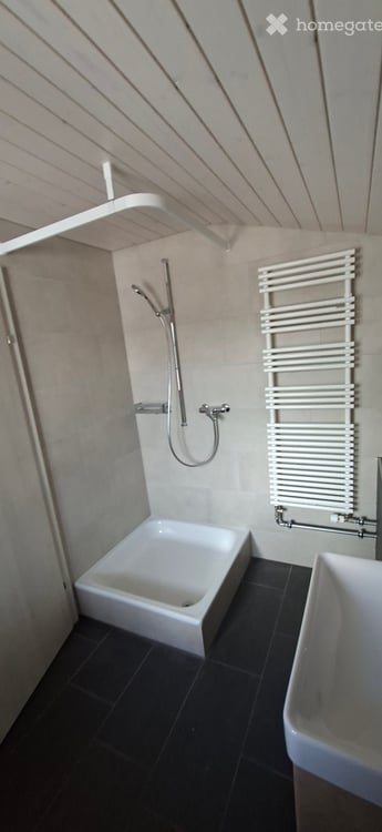 Frisch renovierte 1-Zimmer-Wohnung mit 23 m² 5