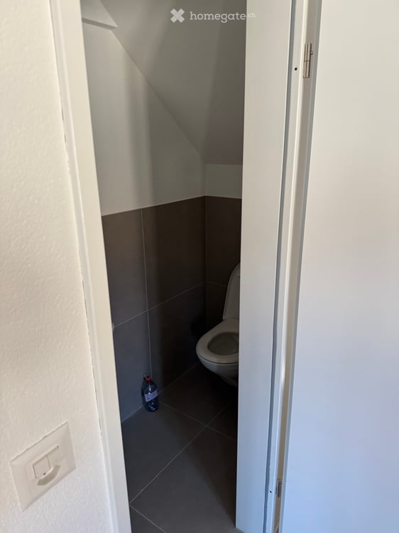Frisch renovierte 4.5-Zimmer-Dachwohnung 3