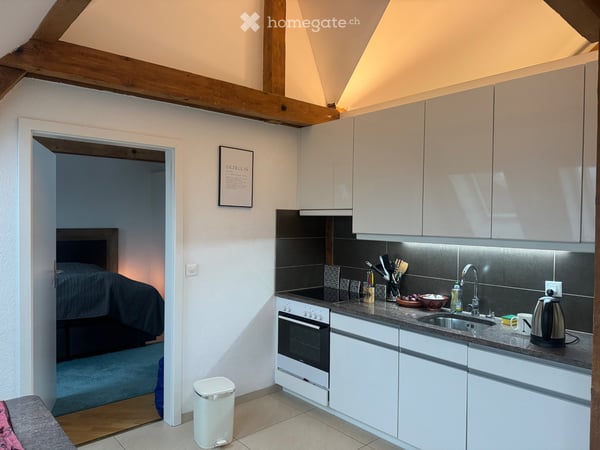 Moderne 2,5-Zimmer-Dachgeschosswohnung in Zürich-Wiedikon 2