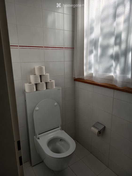 Schöne 1,5-Zimmerwohnung im Erdgeschoss an der Aare 3