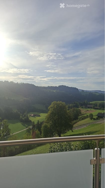 Charmante 2-Zimmer-Wohnung mit Balkon und Cheminée 4