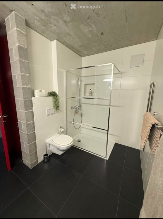 5.5 LOCALI CON GIARDINO PRIVATO E TERRAZZO  CAMORINO 4