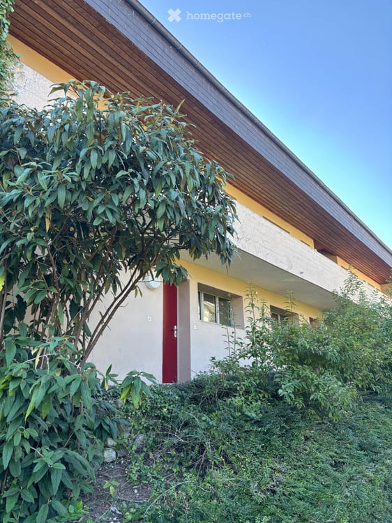 3Zimmerwohnung zu vermieten per sofort 1