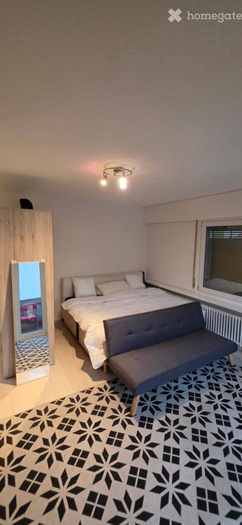 2.5-Zimmer-Apartments in Dietikon 2