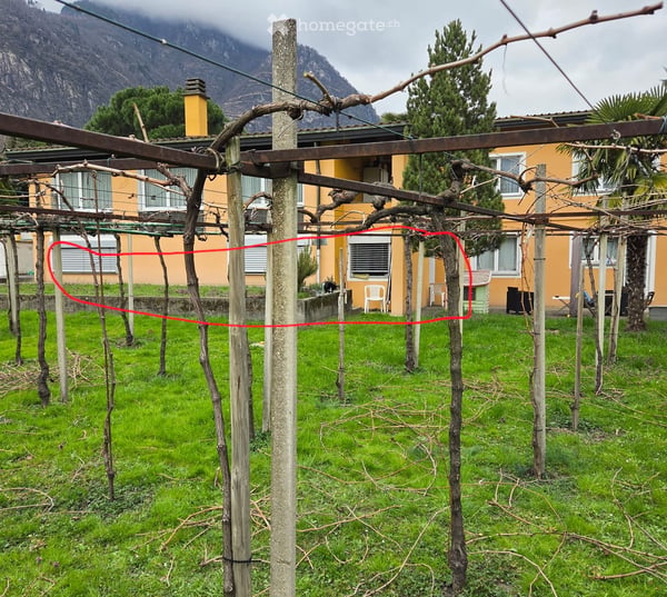 Appartamento Biasca 3.5 4