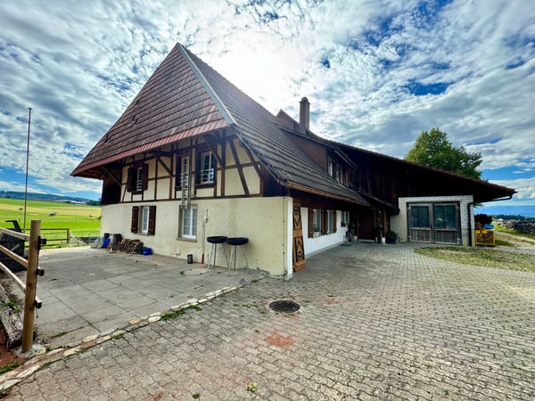 Traumwohnung auf dem Bauernhof 1