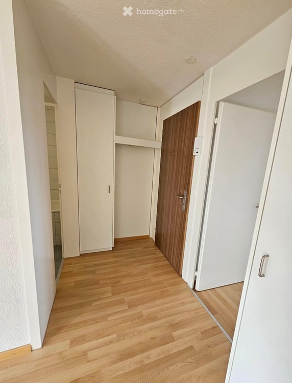 Helle 1.5 Zimmer-Wohnung 4