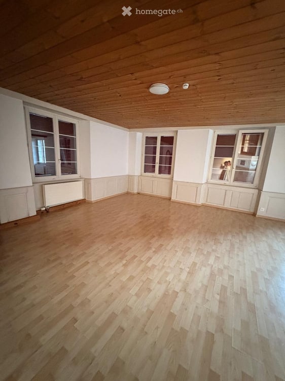 Wohnung hell & grosszügig - Nähe Rhein / Altstadt SH 1