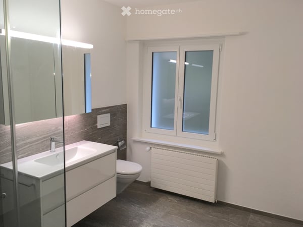 3 1/2 Zimmer Wohnung mit toller Aussicht 4