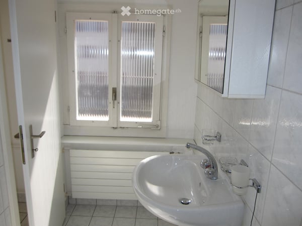 Heimelige 2.5 Zimmer-Wohnung mit grosser Dachterrasse 4