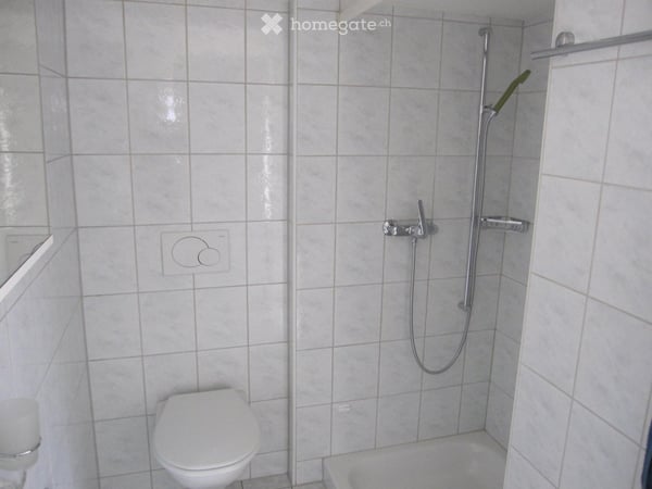 Heimelige 2.5 Zimmer-Wohnung mit grosser Dachterrasse 5
