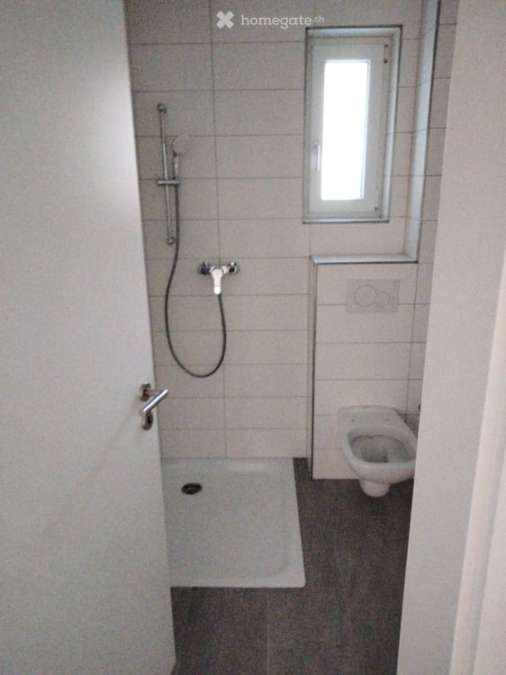 Gartenwohnung nähe Roche 4