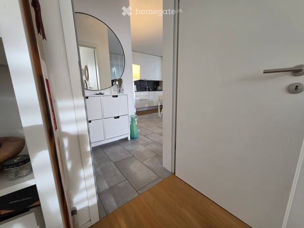 Subentrante Moderno 2.5 Massagno (da 01.01.27) 2
