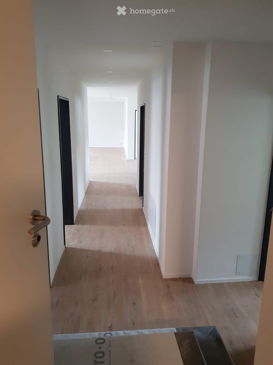 Nachmieter für 4.5-Zi.-Wohnung ab 01.11.2026 gesucht 1