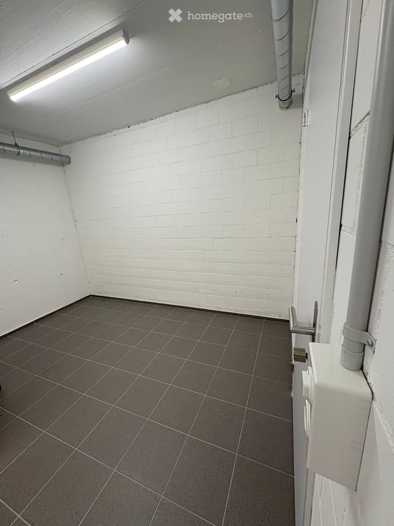 Disporaum in Zizers zu vermieten 18