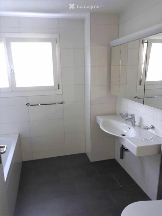 5.5-Zimmer-Doppeleinfamilienhaus in Wangen b. Olten 4