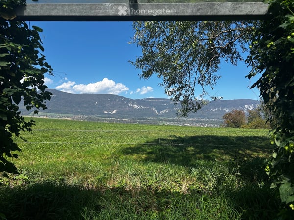 oberer Hausteil zu vermieten 2