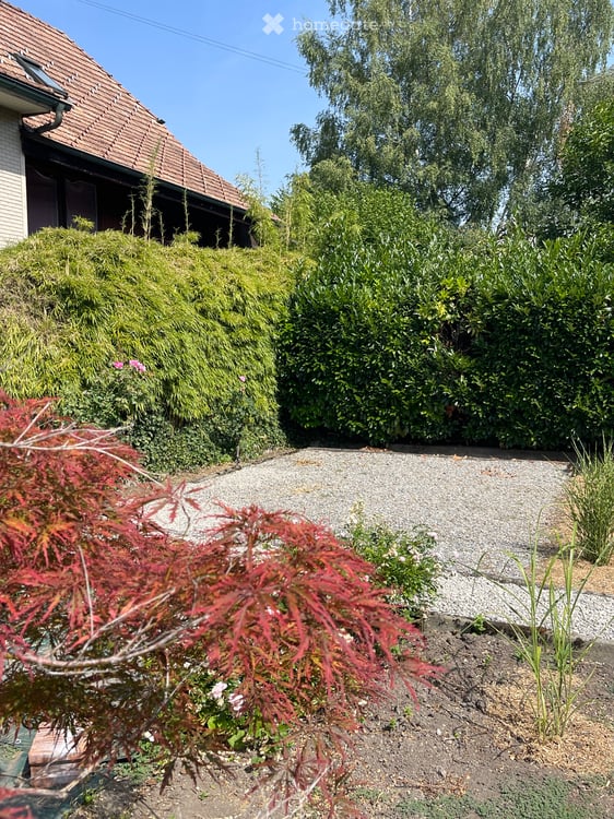 Gemütliche 3.5 Zimmer/Wohnung in ruhiger Lage 5