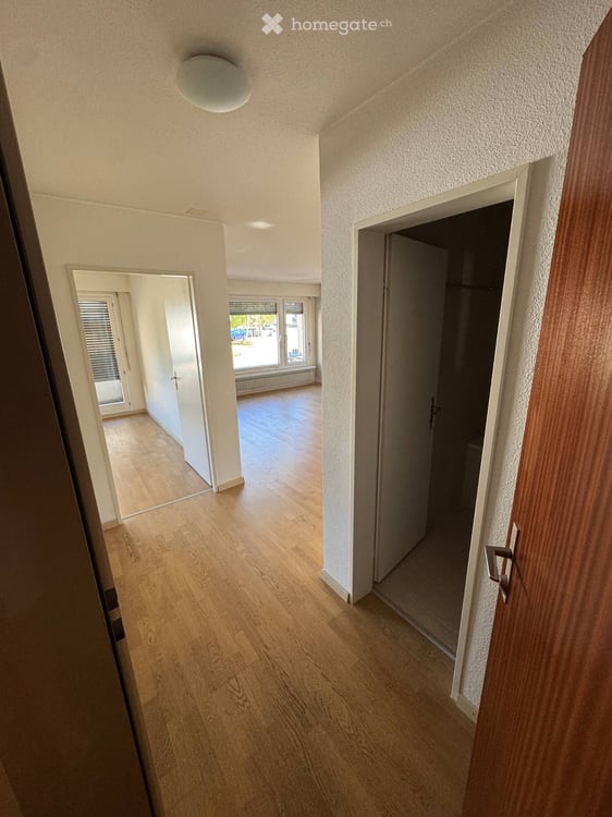 Temporary 2-Room Flat in Zurich | Available Immediately 1