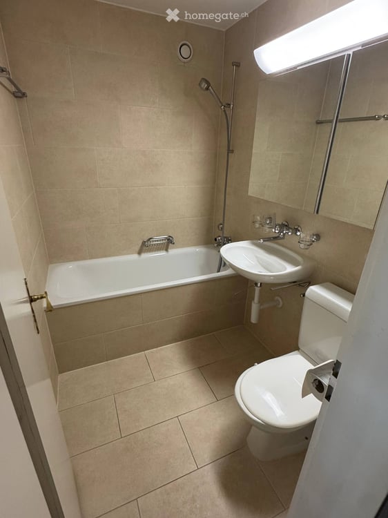 Temporary 2-Room Flat in Zurich | Available Immediately 2