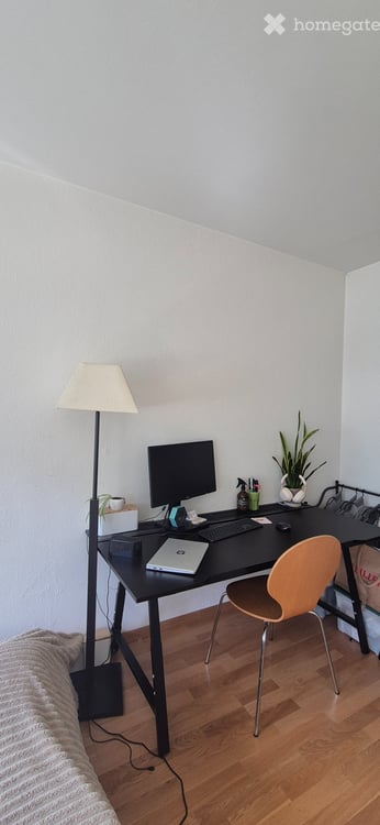 WOHNUNG ZENTRAL Zürich Stauffacher 3