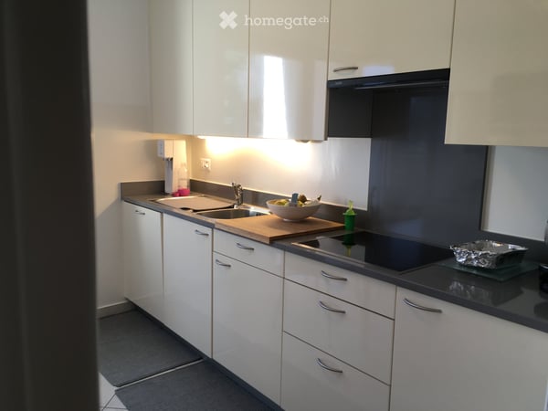 Affittasi appartamento 3 locali Bellinzona-Ravecchia 4