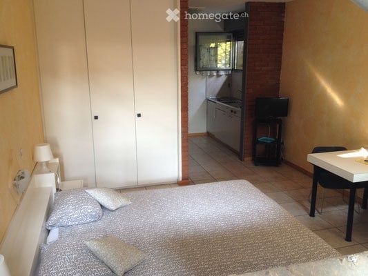 Appartamento 2 e 2/2 locali 1