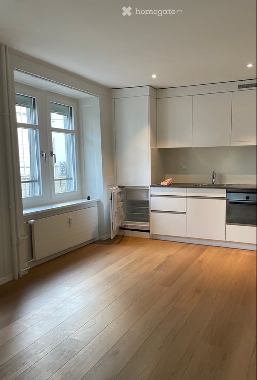 Charming Furnished 1-Room Apartment 1