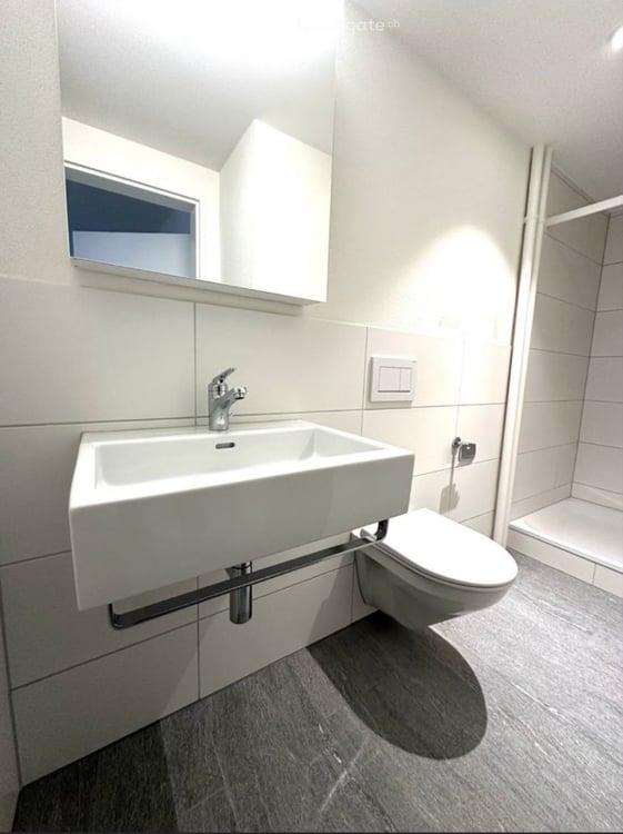 Charming Furnished 1-Room Apartment 5