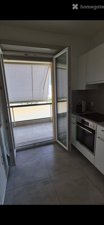 CERCO SUBENTRANTE PER AMPIO 2.5 LOCALI A BELLINZONA 8