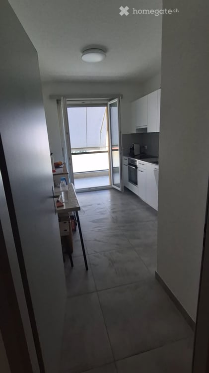 CERCO SUBENTRANTE PER AMPIO 2.5 LOCALI A BELLINZONA 9