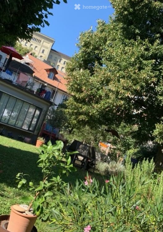 2,5 Zimmer Wohnung im Marzili Juni-Juli zu vermieten 5