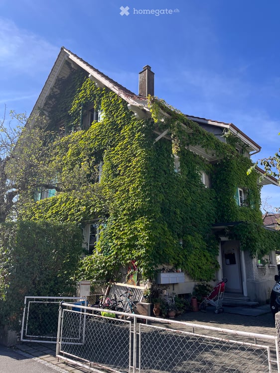 Zimmer zu vermieten 5